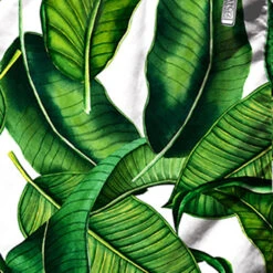 Banana Leaves Print Mid-length Swim Shorts -Swimwear Family banana leaves01 4