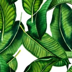 Boy Swim Shorts With Banana Leaves Print 8 Boy Swim Shorts With Banana Leaves Print -Swimwear Family bnle01 3