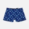 Boy Lycra Swim Shorts With Sharks Print -Swimwear Family boy swimshorts animal 1 d95806dc 28d4 4963 baf7 909cbd7f6ea4