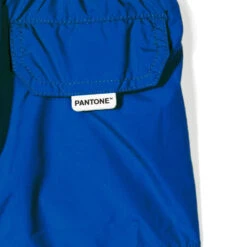 Boy Bluette Swim Shorts | PANTONE™ SPECIAL EDITION -Swimwear Family det 17