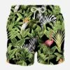 Tropical Print Mid-length Swim Shorts -Swimwear Family tropical birds man swimshort1